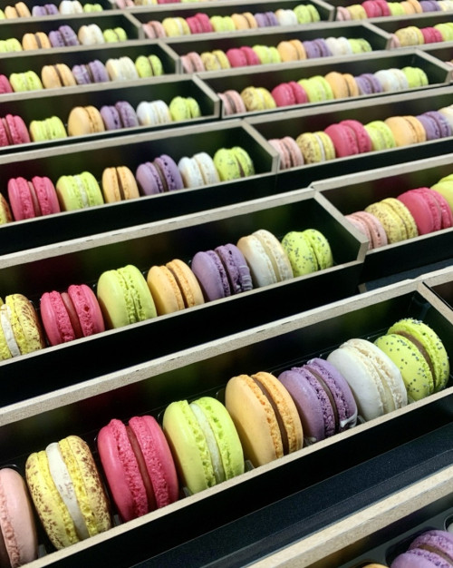Plumier de 8 macarons assortis